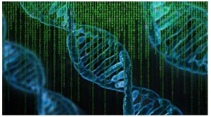 Comment s'assurer du sérieux des sites de test ADN en ligne