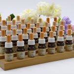 formation naturopathe toulouse