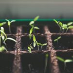 L'investissement durable
