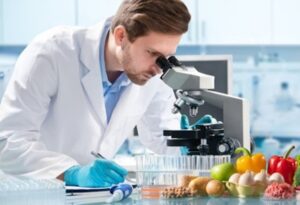 Elamlaboratory : Votre partenaire de confiance en agroalimentaire à Agadir